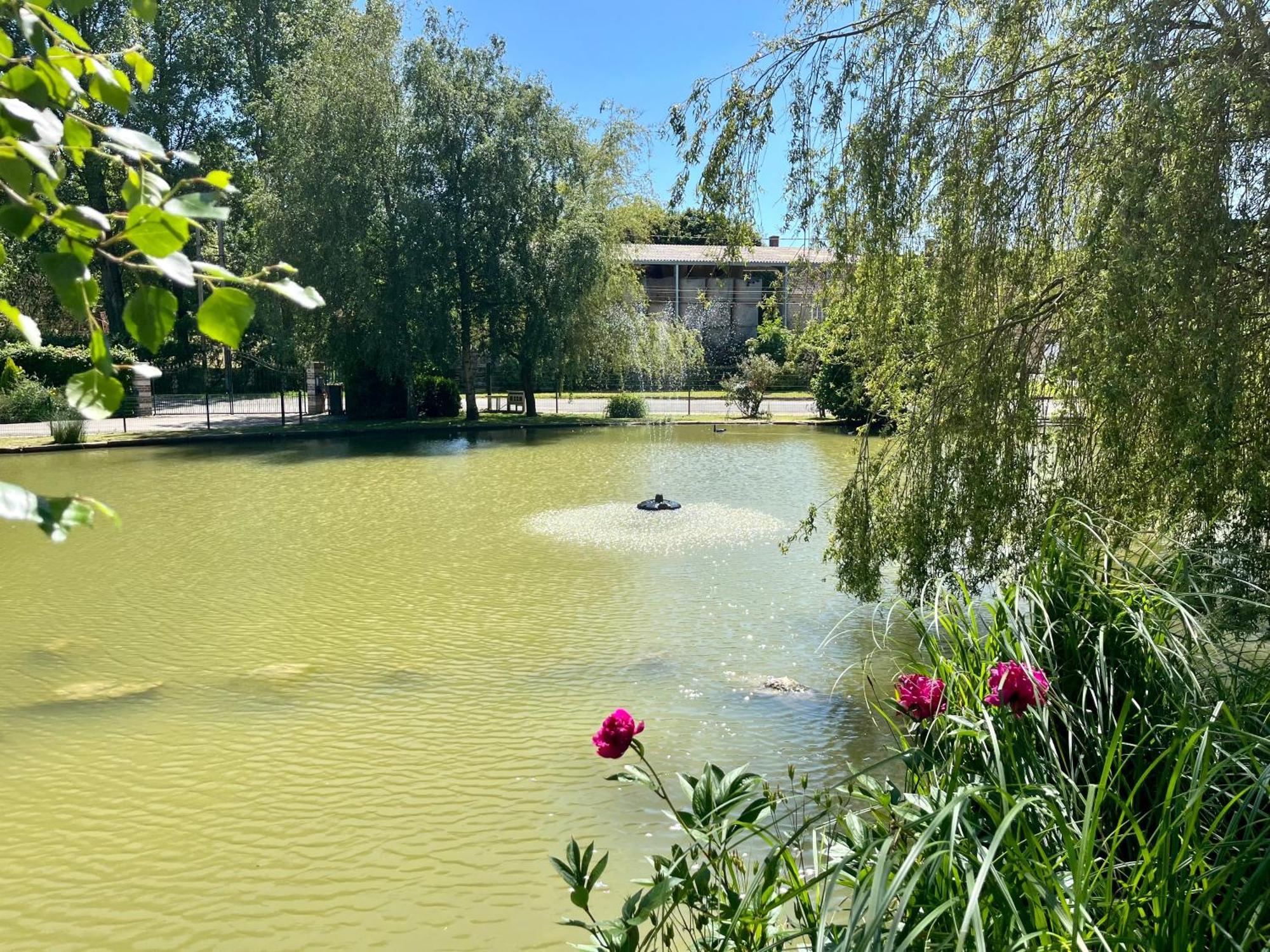 L'Etang D'Une Pause Samer エクステリア 写真
